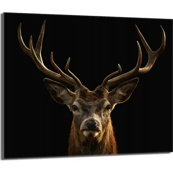 Kuchyňské prkénko Krájecí deska TMK ArtDeko sklo 1 ks