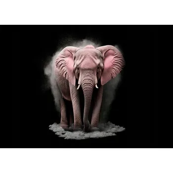 Obraz Obraz plakát do obýváku ložnice 40x30 slunce foto na zeď bez rámu