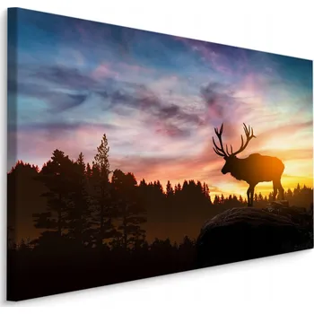 Obraz Obraz do obýváku jelen západ slunce příroda 70x50