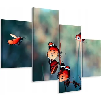 Obraz Čtyřdílný obraz MOTÝLI Příroda Makro 3D 80x50