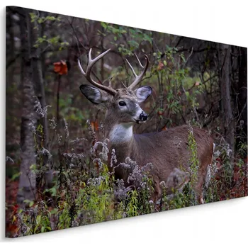 Obraz Obraz na plátně Jelen LES Stromy Příroda 3D 70x50