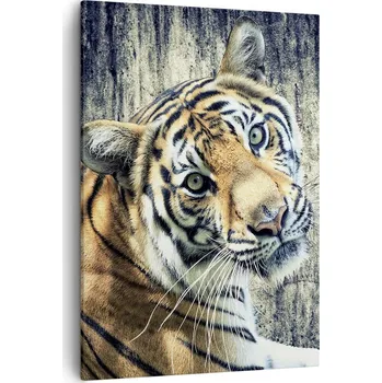 Obraz Obraz na plátně do obýváku ložnice 50x70 zvířata obrazy na zeď canvas