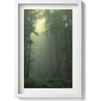 Obraz Dekorativní nástěnný obraz v rámu s grafikou Mlhavý les za úsvitu 40x60 cm