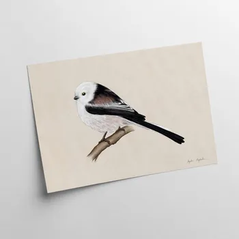 Obraz Sýkora babka - autorská ilustrace 21x30 - Tukan Media Agata Hajdecka