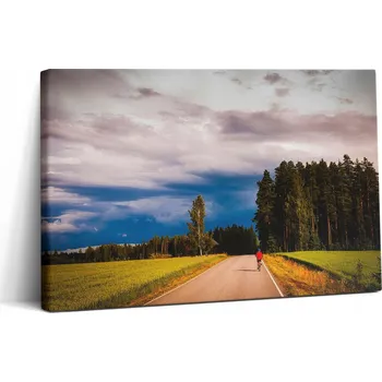 Obraz Plátěný Obraz Canvas Dekorativní do Jídelny Krajinná Cyklostezka