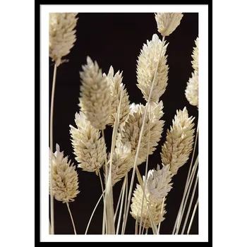 Obraz OBRAZ PLAKÁT V RÁMU 73x53 cm květiny tráva béžové pole louka minimalismus P2414