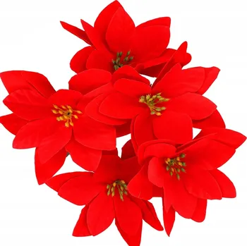 Vánoční dekorace VĚTVIČKA OZDOBA NA DVEŘE VÁNOČNÍ GIRLANDA ŠIŠKY SVĚRKA JEŘABINA VELKÁ