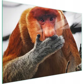 Kuchyňské prkénko Krájecí deska TMK ArtDeko sklo 2 ks