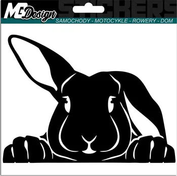 Samolepicí dekorace na vozidlo SAMOLEPKA na auto KRÁLÍK ZAJÍC 11x15 cm