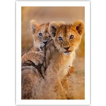 Obraz Plakát bez rámu do obývacího pokoje ložnice 50x70 zvířata moderní módní obraz