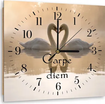 Hodiny Nástěnné hodiny do obýváku Labutě Béžové 80x80