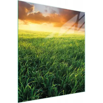 Kuchyňské prkénko Krájecí deska TMK ArtDeko sklo 1 ks