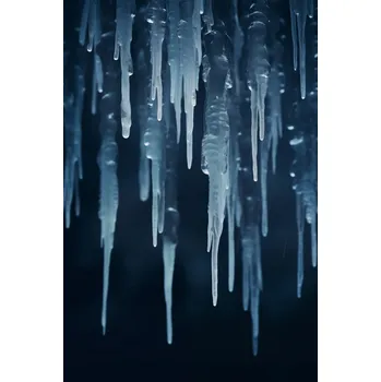 Plakát Plakát Zimní Šepot bez rámu 61 x 91,5 cm