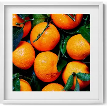 Obraz Obraz s rámem a grafikou na zeď Šťavnaté Sicilské Pomeranče 50x50 cm