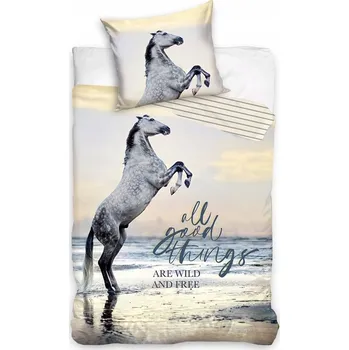 Povlečení Sada povlečení Carbotex 140 x 200 cm, vícebarevné