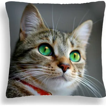 Polštář VELKÝ 50*50 POLŠTÁŘ KOČKA 25 ZELENÉ OČI