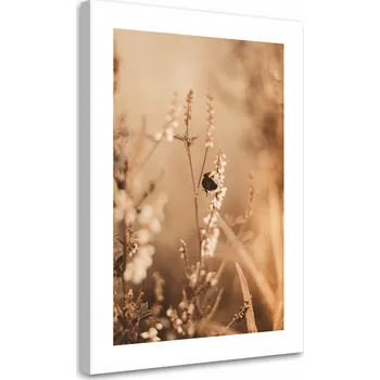 Obraz OBRAZ NA PLÁTNĚ CANVAS Béžové kytičky na poli 60x90