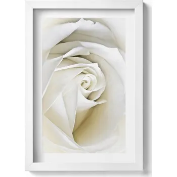 Obraz Dekorativní nástěnný obraz do pokoje Jemné okvětní lístky bílé růže 20x30 cm