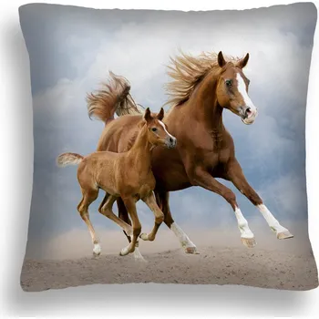 Polštář POLŠTÁŘ 40x40 KOBYLA A HŘÍBĚ KŮŇ 43 PL 50X50