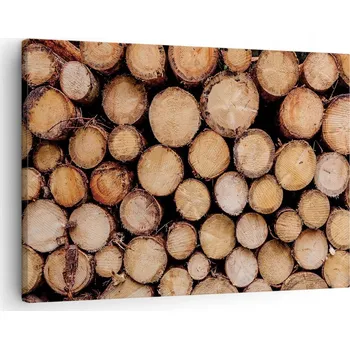 Obraz Obraz na plátně do obýváku ložnice 70x50 dřevo foto obrazy na zeď