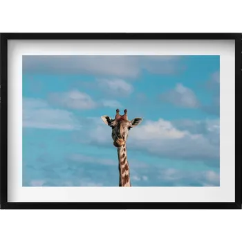 Obraz Dekorativní nástěnný obraz v rámu do obýváku Hlava žirafy na pozadí oblohy 70x50 cm