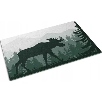 Rohožka Hotová textilní venkovní rohožka 60 x 40 cm