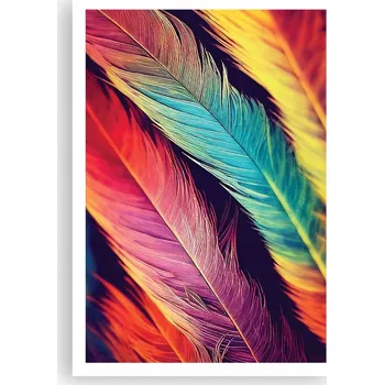Obraz Plakát na zeď bez rámu 70x100 peří obraz plakáty do obývacího pokoje ložnice