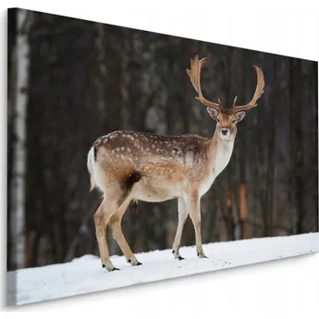 Obraz Obraz do Ložnice JELEN Les Stromy Příroda 70x50