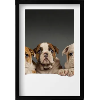 Obraz Závěsný obraz na zeď, dekorace do domu Tři štěňata, pejsci, 40x60 cm