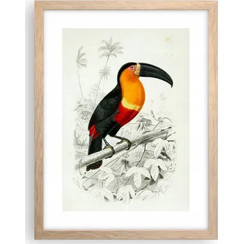 Obraz Obraz plakát v rámu světlý dub do obýváku 30x40 pták foto plakáty na zeď