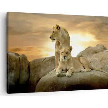 Obraz Obraz na plátně do obýváku, ložnice 70x50 zvířata foto obrazy na zeď