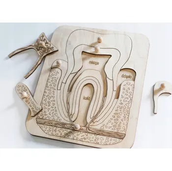 Dřevěná hračka Dřevěné puzzle ABC Stavba zubu