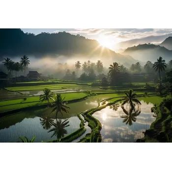 Plakát Plakát Svítání nad terasami - plakát bez rámu 91,5 x 61 cm