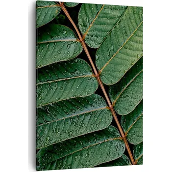 Obraz Obraz na plátně do obýváku ložnice 50x70 listy obrazy na zeď canvas