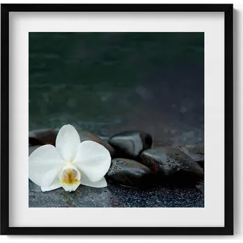 Obraz Elegantní obraz v černém rámu Bílý květ kameny Zen 50x50 cm