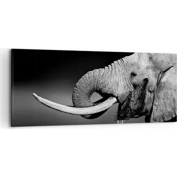Obraz Foto obraz na plátně 100x40 zvířata obývací pokoj ložnice na zeď velký