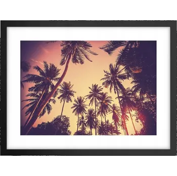 Obraz Obraz plakát v černém rámu do obýváku 40x30 botanika foto na zeď