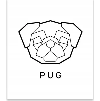 Kuchyňské prkénko Skleněná Ochranná Deska a Krájecí Prkénko | Indukce, Sporák ds-0181