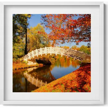 Obraz Elegantní obraz do obývacího pokoje v bílém rámu Park Woerlitzer na podzim 50x50 cm