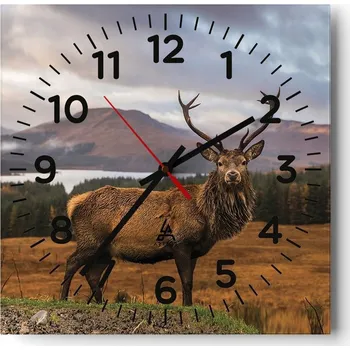 Hodiny Kuchyňské nástěnné hodiny 30x30 Zvířata Skleněné hodiny do obýváku Moderní Tiché