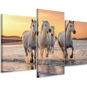 Obraz Obraz Triptych Cválající KONĚ u Moře 120x80 cm
