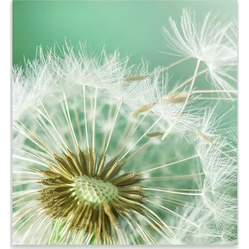 Kuchyňské prkénko Skleněná Ochranná Deska a Krájecí Prkénko | Indukce, Sporák ds-0038