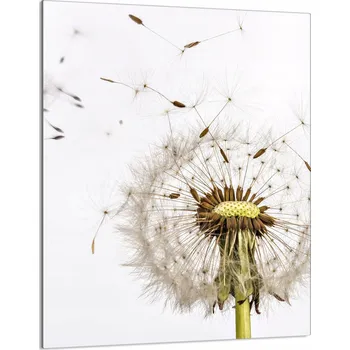 Kuchyňské prkénko Krájecí deska TMK ArtDeko sklo 1 ks