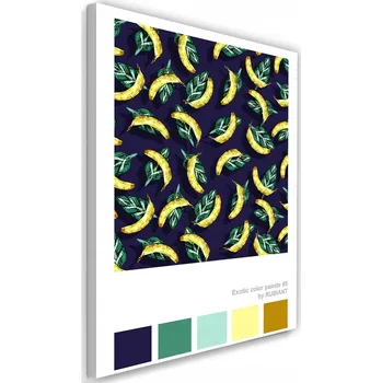 Obraz Obraz na plátně Banánový déšť 40x60