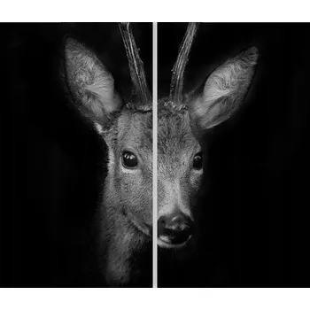 Kuchyňské prkénko Skleněná Ochranná Deska a Krájecí Prkénko | Indukce, Sporák ds-0205