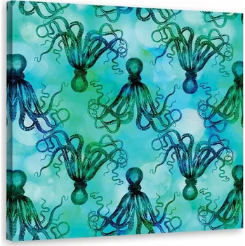 Obraz Obraz Chobotnice - Andrea Haase 50x50