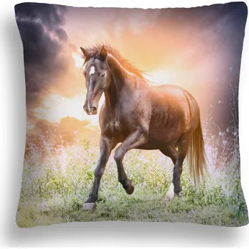 Polštář POLŠTÁŘ KŮŇ 36 HŘEBEC VÝCHOD SLUNCE POVLAK NA POLŠTÁŘEK