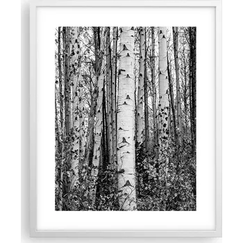 Obraz Obraz plakát na zeď v bílém rámu 40x50 les foto plakáty do obýváku