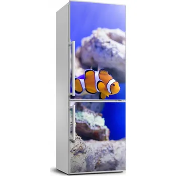 Fototapeta Samolepicí samolepící na ledničku Ryba Nemo