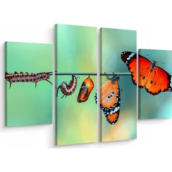 Obraz Obraz 4dílný MOTÝLI Housenky Makro 80x60